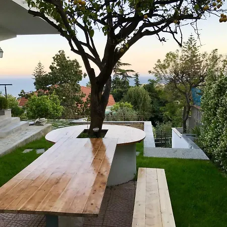 Lägenhet Mimosa - Large Luxury For Two Families!